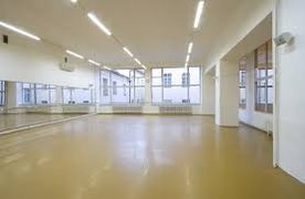 DANCE PERFECT s. r. o. in Czech Republic, Central Bohemian | Dancing Bars & Studios - Rated 3.9
