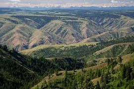 Umatilla National Forest in USA, Oregon | Nature Reserves - Rated 3.9