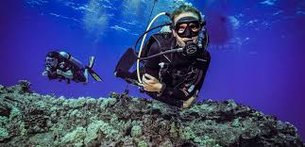 Maui Dive Shop in USA, Hawaii | Scuba Diving - Rated 3.5