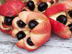Ackee - National Desserts in Cameroon