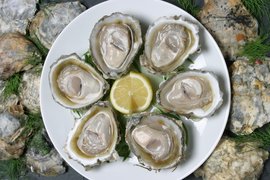 Bluff Oyster - National Cold Appetizers in New Zealand