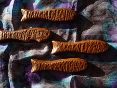 Chocolate Fish - National Desserts in New Zealand