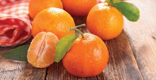 Cameroonian Clementine - National Desserts in Cameroon