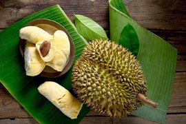 Indonesian Durian