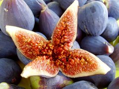 Maltese Figs - National Desserts in Malta