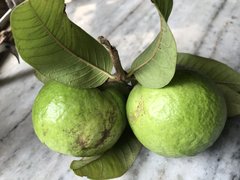 Barbados Guava - National Desserts in Barbados