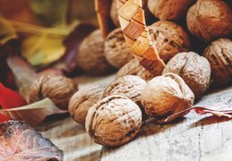 Luxembourg Fresh Walnuts - National Desserts in Luxembourg