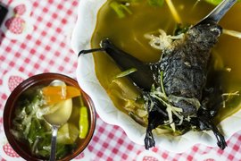 Fruit Bat Soup - National Soups in Palau