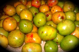 Governor’s Plum - National Desserts in Trinidad and Tobago