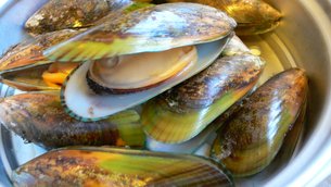 Green-Lipped Mussels - National Main Courses in New Zealand