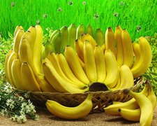Indonesian Bananas