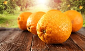 Jalna Orange