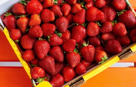 Korean Strawberries - National Desserts in South Korea