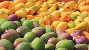 Senegalian Mango - National Desserts in Senegal