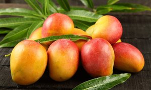 Jamaican Mango - National Desserts in Jamaica