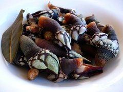 Percebes - National Main Courses in Cape Verde