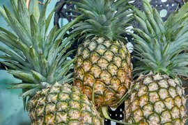 Congos Pineapples - National Desserts in Republic of the Congo