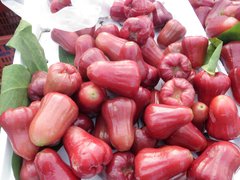 Puerto Rican Rose Apple - National Desserts in Puerto Rico