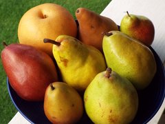 Russian Pears - National Desserts in Russia