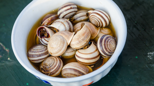 Snail Soup - National Soups in Morocco