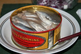 Surstromming - National Cold Appetizers in Sweden