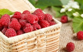 Ukrainian Raspberries - National Desserts in Ukraine