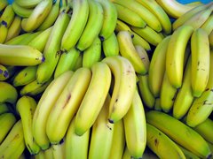Venezuelan Bananas - National Desserts in Venezuela