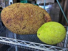 St. Kitts Breadfruit - National Desserts in Saint Kitts and Nevis
