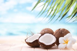 Madagascar Coconut