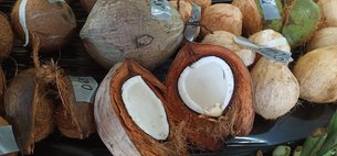 Cookian Islands Coconuts - National Desserts in Micronesia,Cook Islands