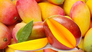 Dominica Grafted Mango - National Desserts in Dominica