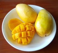 Venezuelan Mangoes - National Desserts in Venezuela
