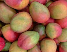 Micronesian Mangoes - National Desserts in Micronesia