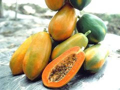 Panamian Papaya - National Desserts in Panama