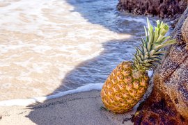 Puerto Rican Pineapple - National Desserts in Puerto Rico