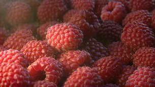 African Raspberries - National Desserts in South Africa