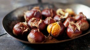 Roasted Chestnuts - National Hot Appetizers in Bosnia and Herzegovina