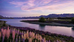 Lake Tekapo | Otago Region, New Zealand - Rated 5.4
