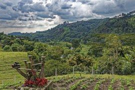 Quindio Region | Colombia - Rated 2.7