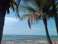 Nosara | Guanacaste Province Region, Costa Rica - Rated 4.6