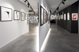 Alexis Pentcheff Gallery in France, Provence-Alpes-Cote d'Azur | Art - Rated 4.9