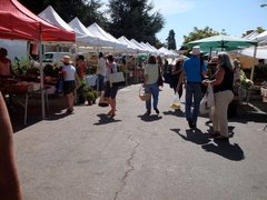 Alemany Farmers’ Market in USA, California | Meat,Groceries,Herbs,Dairy,Fruit & Vegetable,Organic Food,Spices - Country Helper
