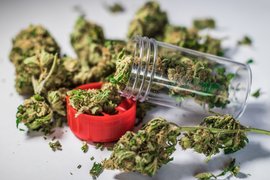 Bilgibak | Cannabis Products - Rated 3.5