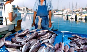 Corniche Fish Market in Qatar, Ad-Dawhah | Seafood - Country Helper