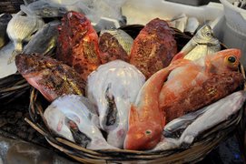 Fish Market Il Kiosko in Italy, Lombardy | Seafood - Country Helper