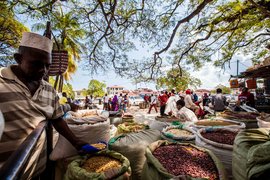 Darajani Bazaar in Tanzania, Mjini Magharibi Region | Meat,Herbs,Fruit & Vegetable,Spices - Country Helper