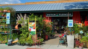 Dutch Flowers in USA, Missouri | Souvenirs - Country Helper