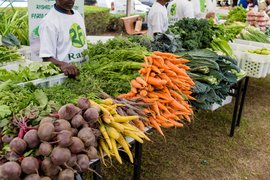 Farmers’ Market in United Arab Emirates, Abu Dhabi Region | Groceries,Herbs,Fruit & Vegetable,Organic Food,Spices - Country Helper