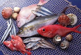 Fisch Schmidt | Seafood - Rated 4.6