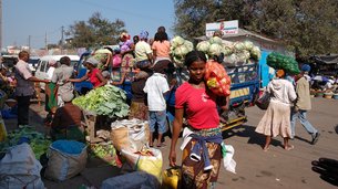 Suva Flea Market in Fiji, Central Division | Shoes,Clothes,Herbs,Fruit & Vegetable,Organic Food - Rated 3.9